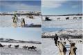 Huskytour