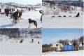 Huskytour