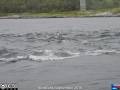 Saltstraumen