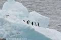 Antarctic Sund