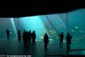 Ålesund, Aquarium