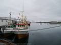 Berlevåg, Hafen