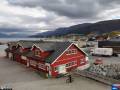 Nesna