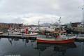 Svolvær, Fischereihafen