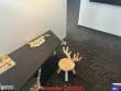 Deck 6 Spielecke Loungebereich backbord