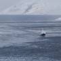 lofoten-1_kkn_080313.jpg