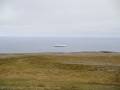 MS Trollfjord in Anfahrt auf Vardø