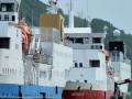 MS Gann, ex Narvik