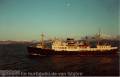 MS VESTERÅLEN 1980