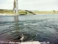 Saltstraumen