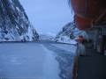 Eis im Trollfjord 2008